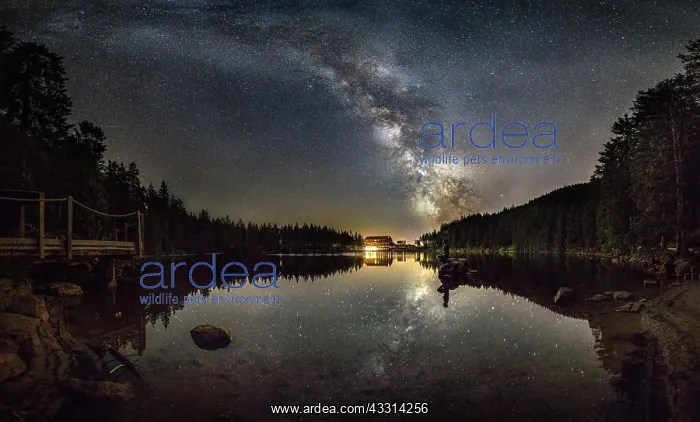 : Milky Way over Mummelsee, Seebach, Baden-Wurttemberg : Milky Way over Mummelsee, Seebach, Baden-Wurttemberg