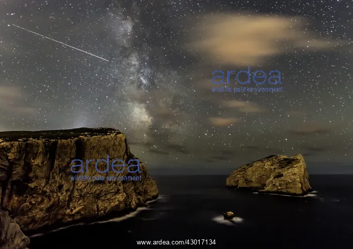  : Milky Way with shooting star