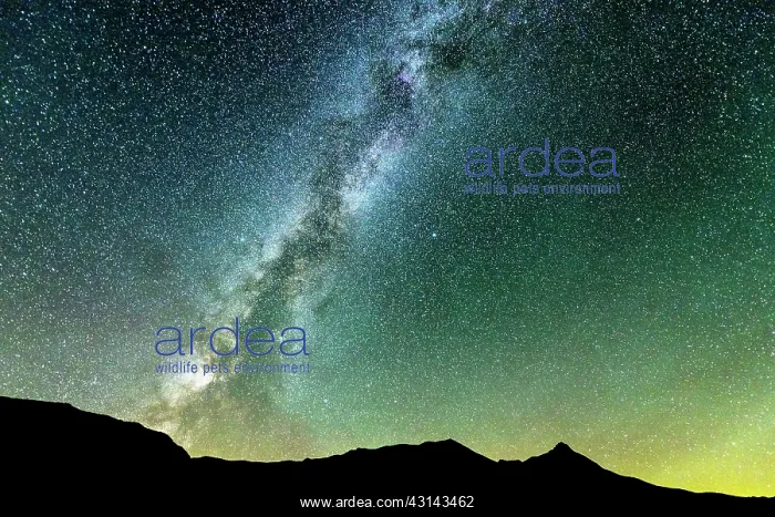 : The Milky Way in the sky of the Alps Hautes-Alpes : The Milky Way in the sky of the Alps Hautes-Alpes