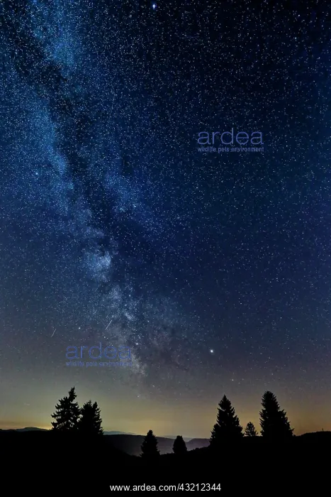 : Milky Way over a Vosges peak, Grand Est, France : Milky Way over a Vosges peak, Grand Est, France
