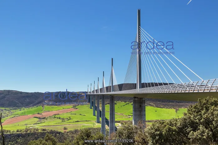 : Millau Viaduct, La Bastide-Pradines, Midi-Pyrsnses : Millau Viaduct, La Bastide-Pradines, Midi-Pyrsnses