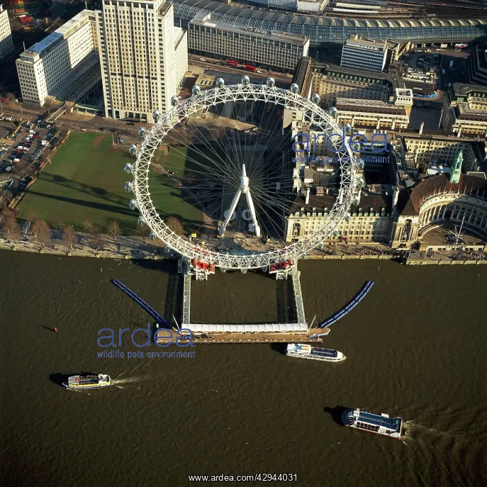: Millennium Wheel (London Eye) and the River Thames : Millennium Wheel (London Eye) and the River Thames