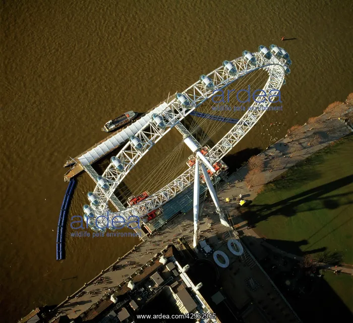 : Millennium Wheel (London Eye), western end of Jubilee : Millennium Wheel (London Eye), western end of Jubilee