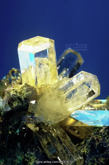 : Mimetite from Tsumeb, Namibia