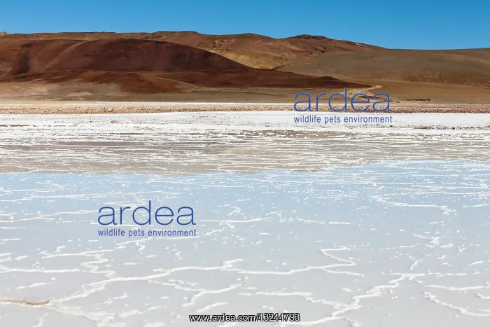 : Minera del Altiplano, lithium mine at saltlake : Minera del Altiplano, lithium mine at saltlake