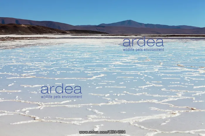 : Minera del Altiplano, lithium mine at saltlake : Minera del Altiplano, lithium mine at saltlake