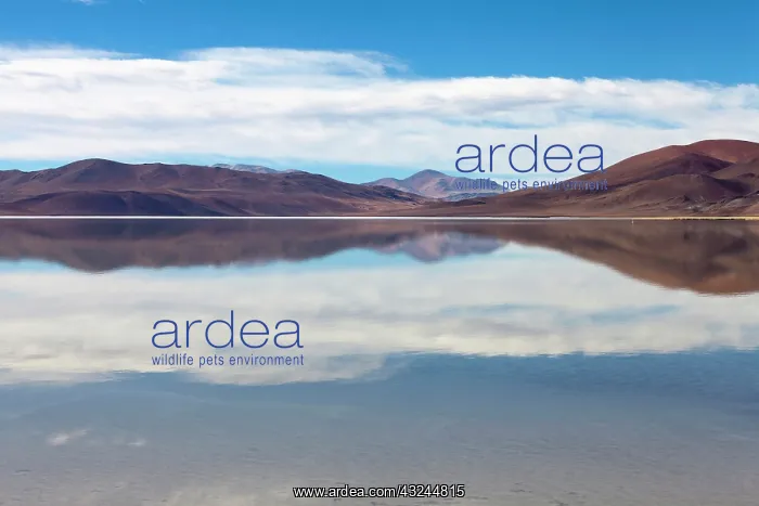 : Minera del Altiplano, lithium mine at saltlake : Minera del Altiplano, lithium mine at saltlake
