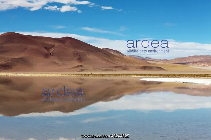 : Minera del Altiplano, lithium mine at saltlake : Minera del Altiplano, lithium mine at saltlake