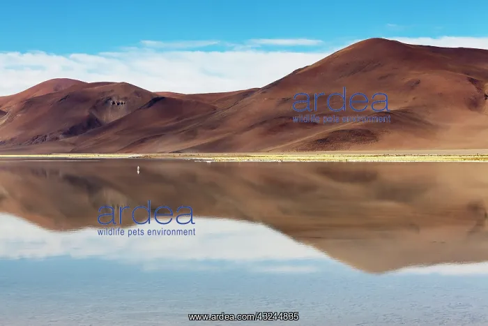 : Minera del Altiplano, lithium mine at saltlake : Minera del Altiplano, lithium mine at saltlake