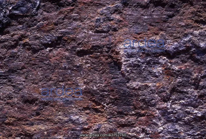: Mineral Bearing Rock : Mineral Bearing Rock