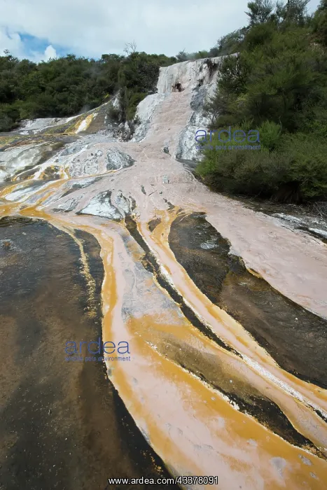 : Mineral deposits : Mineral deposits