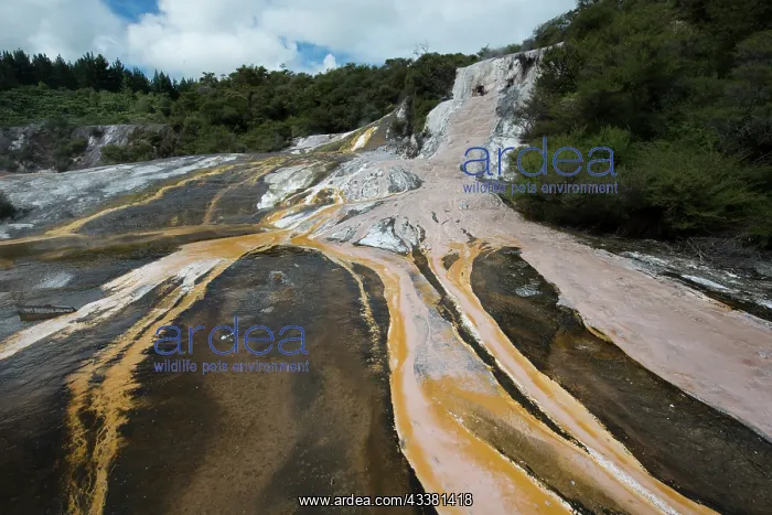  : Mineral deposits
