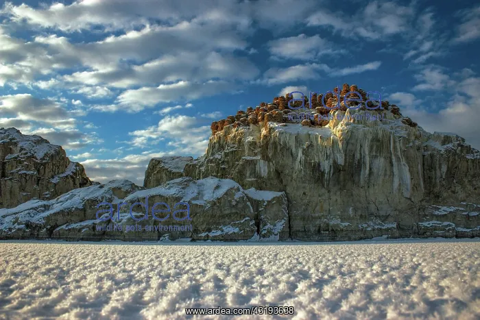 : Mineral deposits on rocks, Khetsuu khad Zavkhan : Mineral deposits on rocks, Khetsuu khad Zavkhan