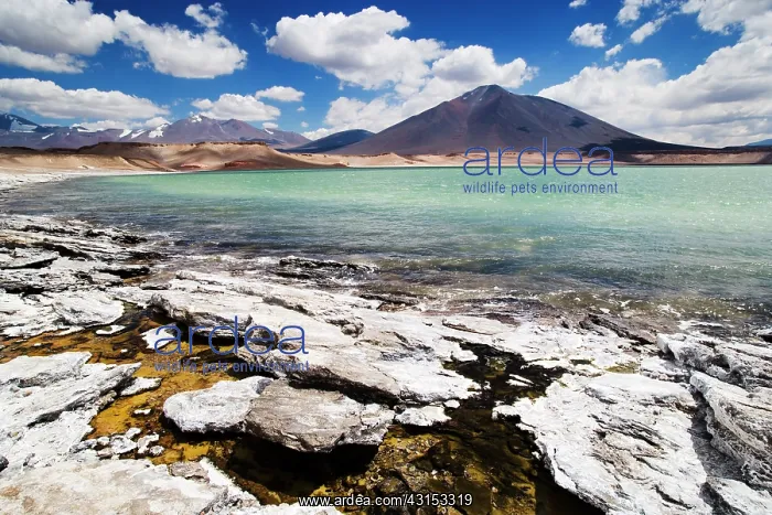 : Mineral deposits and warm water of volcanic origin on shore : Mineral deposits and warm water of volcanic origin on shore
