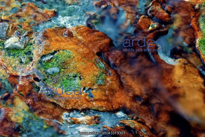 : Mineral Leaching from Hot Springs : Mineral Leaching from Hot Springs