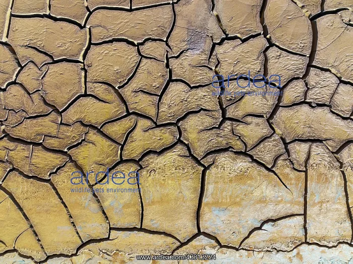 : Mineral-rich cracked earth at the bank of the Rio : Mineral-rich cracked earth at the bank of the Rio