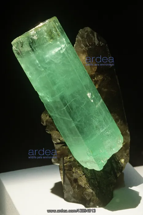 : Beryl. The minerals beryl and quartz : Beryl. The minerals beryl and quartz