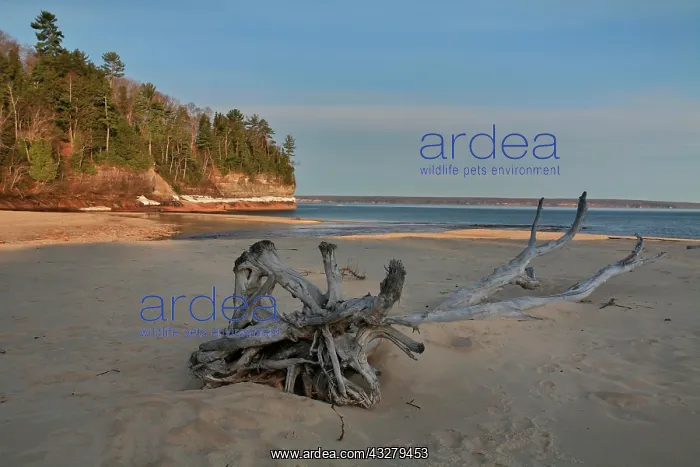 : Miners Beach on the lakeshore of Lake Superior inside : Miners Beach on the lakeshore of Lake Superior inside