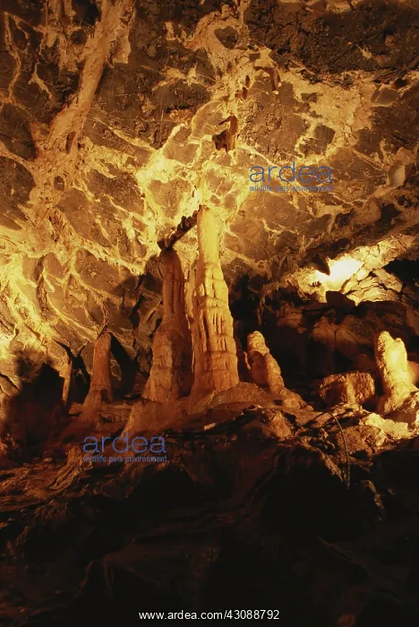 : Minnetonka Cave : Minnetonka Cave