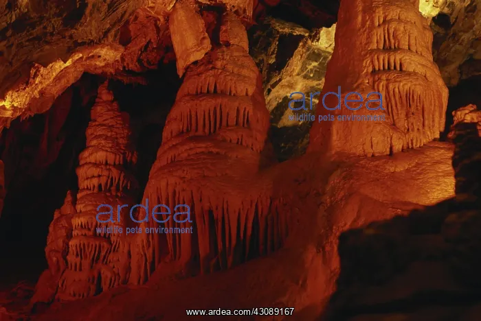 : Minnetonka Cave : Minnetonka Cave