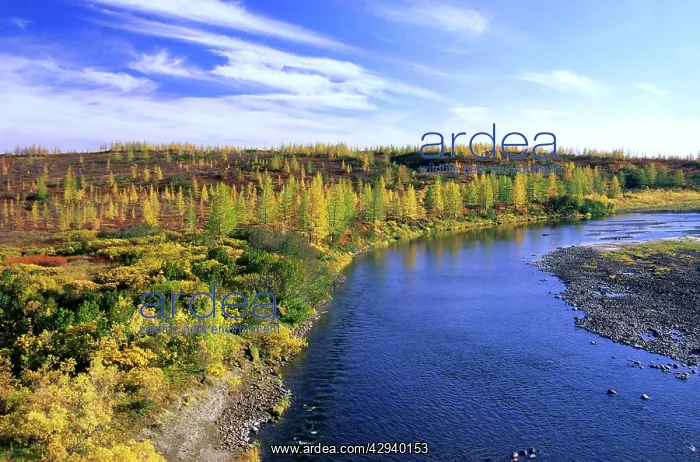: minor river in semi-tundra in autumn, near Dudinka : minor river in semi-tundra in autumn, near Dudinka