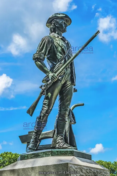 : The Minute Man statue, Old North Bridge, Minute : The Minute Man statue, Old North Bridge, Minute