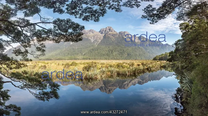 : Mirror Lake with water reflections of the mountains : Mirror Lake with water reflections of the mountains