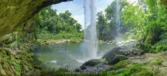 : Misol-Ha Waterfall, Chiapas, Mexico, Central America : Misol-Ha Waterfall, Chiapas, Mexico, Central America