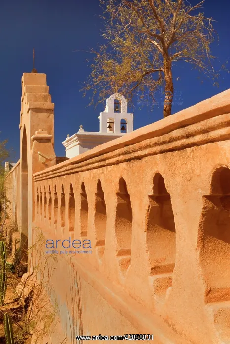 : Mission San Xavier del Bac - beautiful archway : Mission San Xavier del Bac - beautiful archway