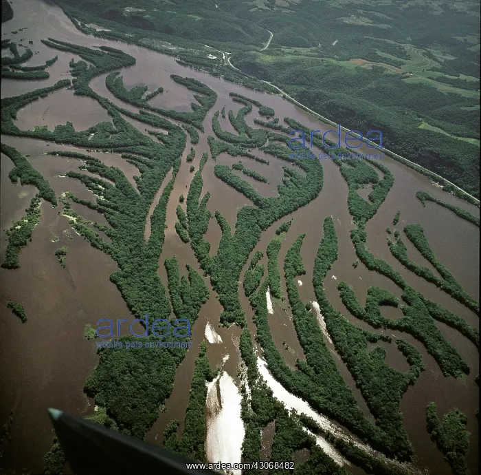 : The Mississippi River : The Mississippi River