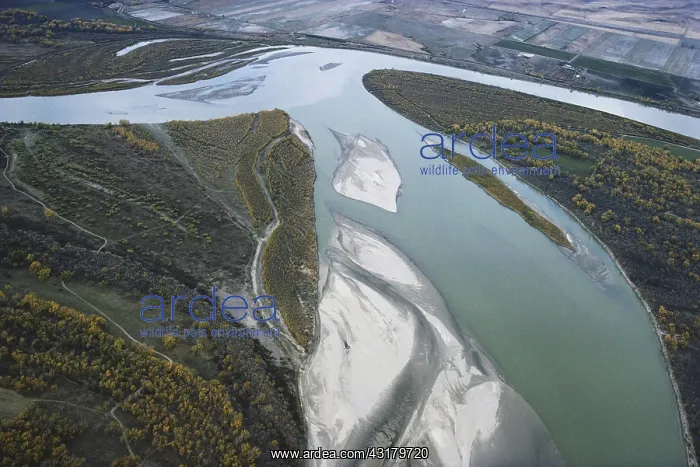 : Missouri and Yellowstone Rivers : Missouri and Yellowstone Rivers