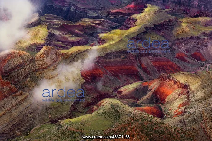 : Mist and clouds, Grand Canyon National Park, Arizona : Mist and clouds, Grand Canyon National Park, Arizona