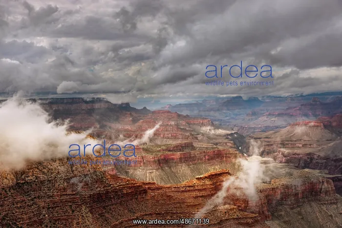 : Mist and clouds, Grand Canyon National Park, Arizona : Mist and clouds, Grand Canyon National Park, Arizona