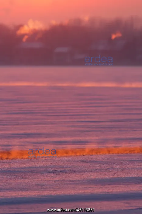 : Mist formed over the open water due to temperature differenc : Mist formed over the open water due to temperature differenc