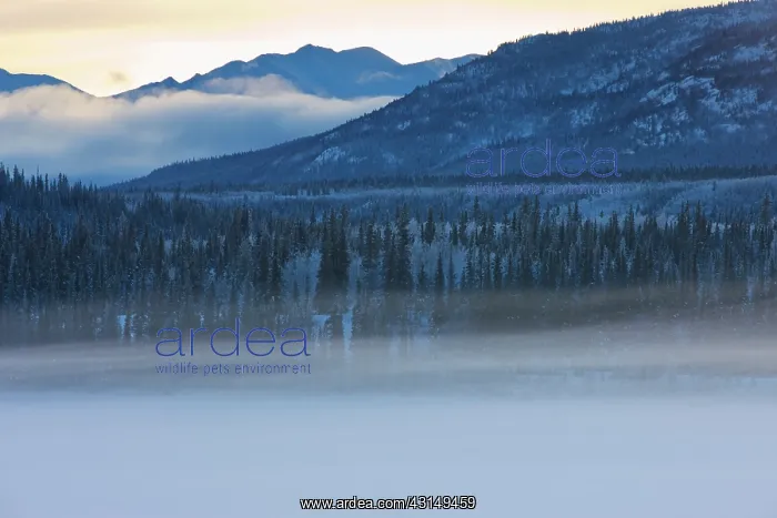  : A mist hangs over a frozen lake