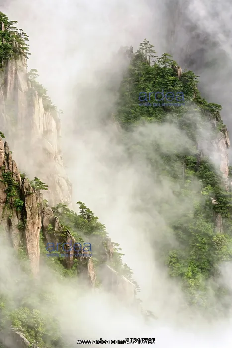 : Mist among the peaks and valleys of Grand : Mist among the peaks and valleys of Grand