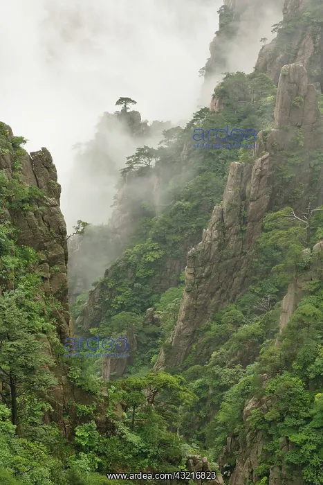 : Mist among the peaks and valleys of Grand : Mist among the peaks and valleys of Grand