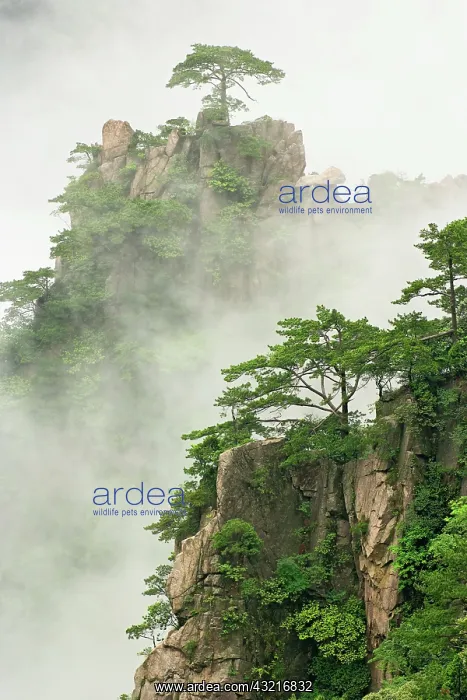 : Mist among the peaks and valleys of Grand : Mist among the peaks and valleys of Grand