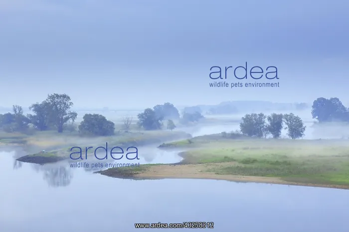 : Mist at sunrise at the UNESCO Biosphere Reserve : Mist at sunrise at the UNESCO Biosphere Reserve