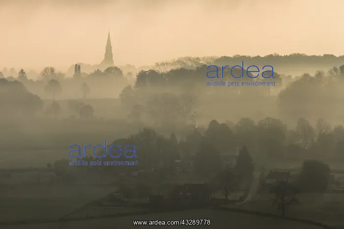 : Misty early morning landscape of a village and : Misty early morning landscape of a village and
