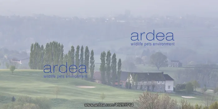 : Misty early morning landscape of a village in t : Misty early morning landscape of a village in t