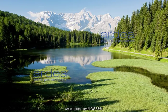 : Misurina Lake with Sorapis mountain beyond : Misurina Lake with Sorapis mountain beyond