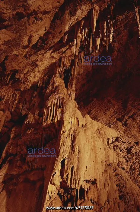 : Mitchell Caverns : Mitchell Caverns