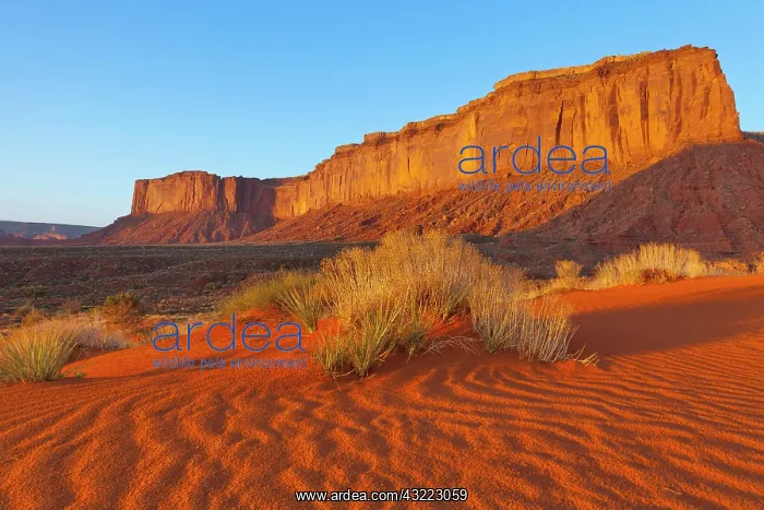 : Mitchell Mesa at sunset in Monument Valley : Mitchell Mesa at sunset in Monument Valley