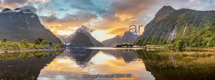 : Mitre Peak reflecting in the water, sunset, Milford : Mitre Peak reflecting in the water, sunset, Milford
