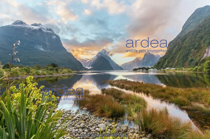 : Mitre Peak, Sunset, Milford Sound, Fiordland National : Mitre Peak, Sunset, Milford Sound, Fiordland National