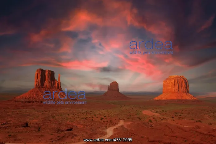 : The Mittens Buttes, in last light, Monument Valley : The Mittens Buttes, in last light, Monument Valley