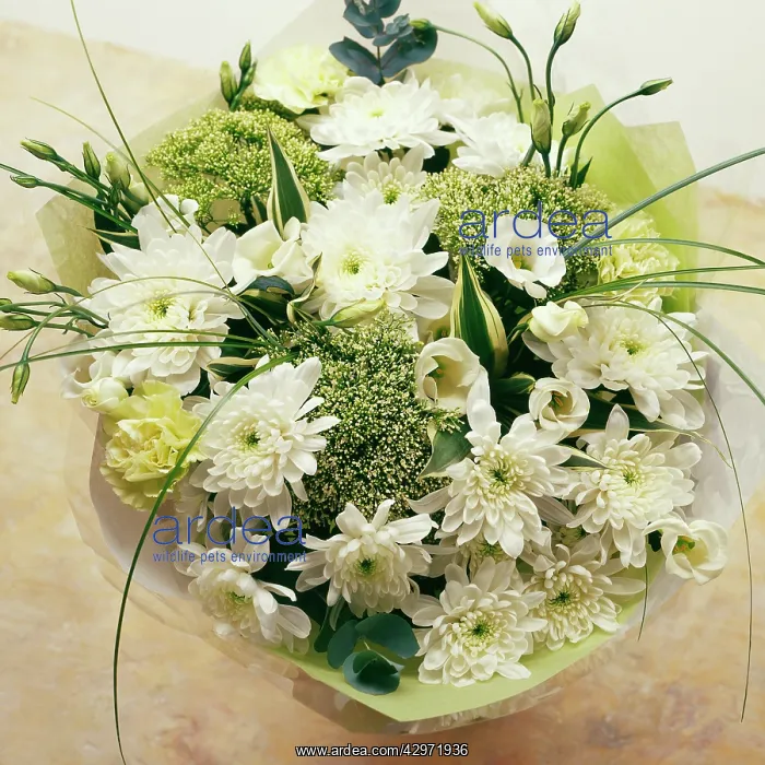 : Mixed flowers in a wrap : Mixed flowers in a wrap