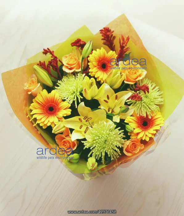 : Mixed flowers in a wrap : Mixed flowers in a wrap