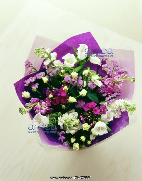 : Mixed flowers in a wrap : Mixed flowers in a wrap
